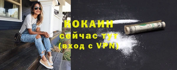 apvp Михайлов