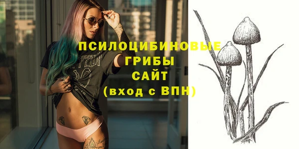 apvp Михайлов