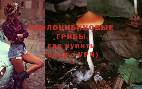 а пвп мука Надым