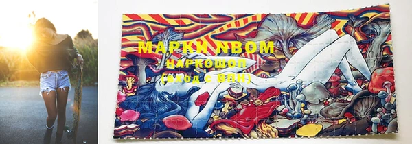тгк Михайловск