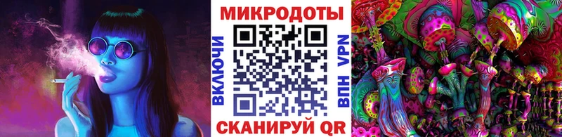 Псилоцибиновые грибы Psilocybe  Купить  Касли 