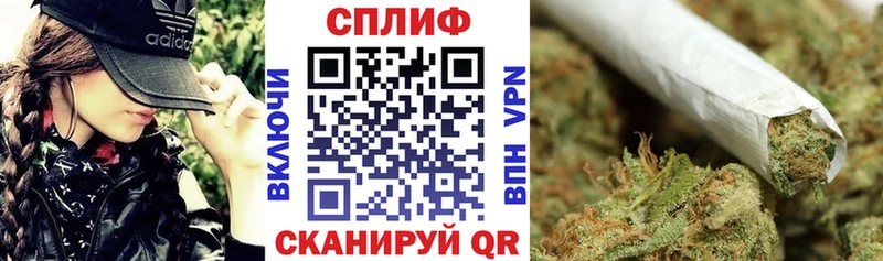 Купить закладки  Касли  Канабис сатива 